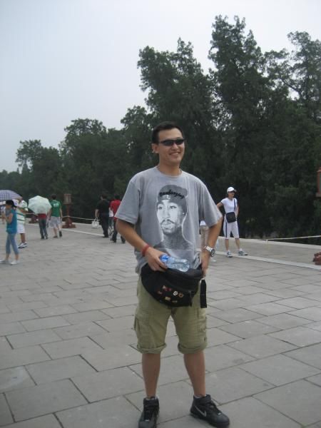 ������Ƭ