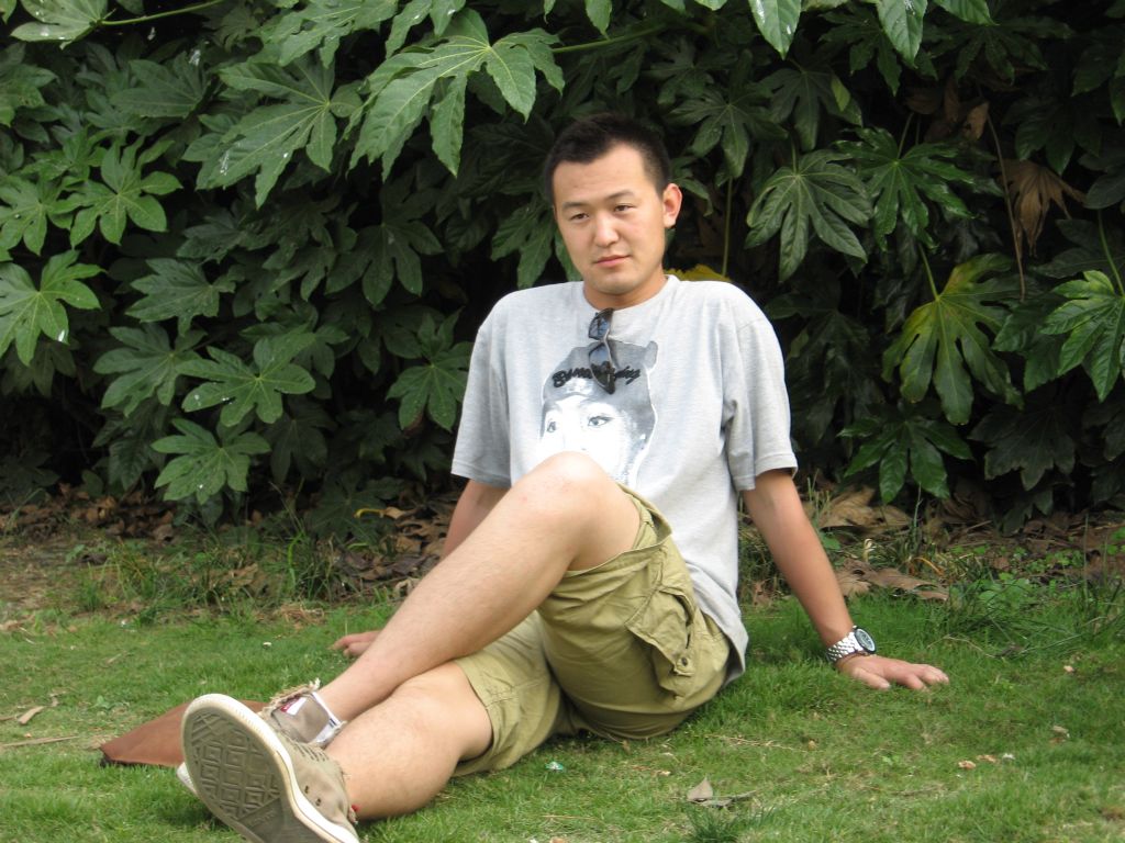 ������Ƭ