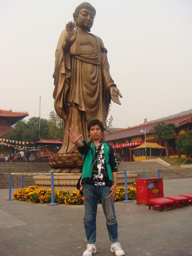 ������Ƭ