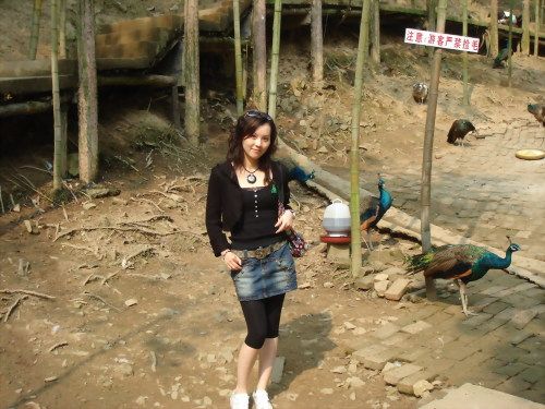 ��������˼˼