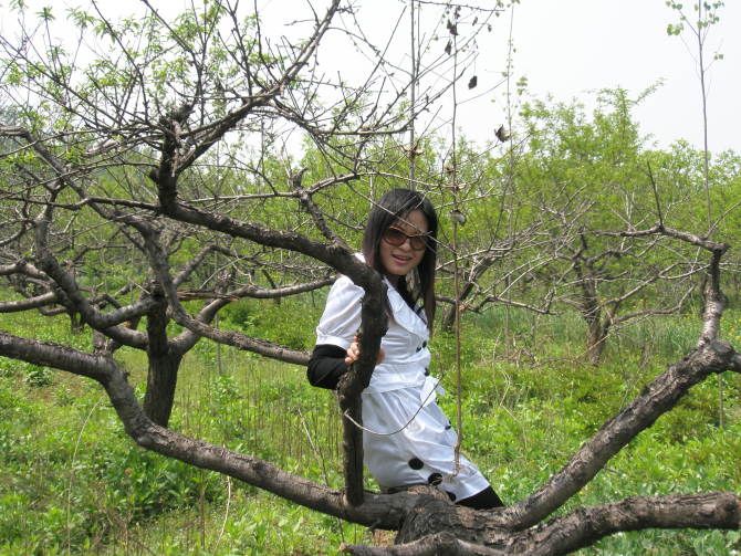 ������Ƭ