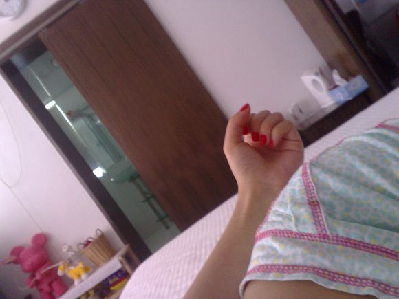 ������Ƭ