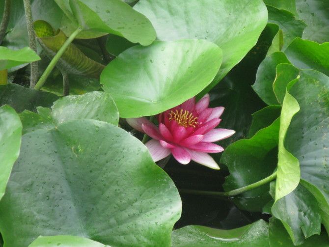 ��������������