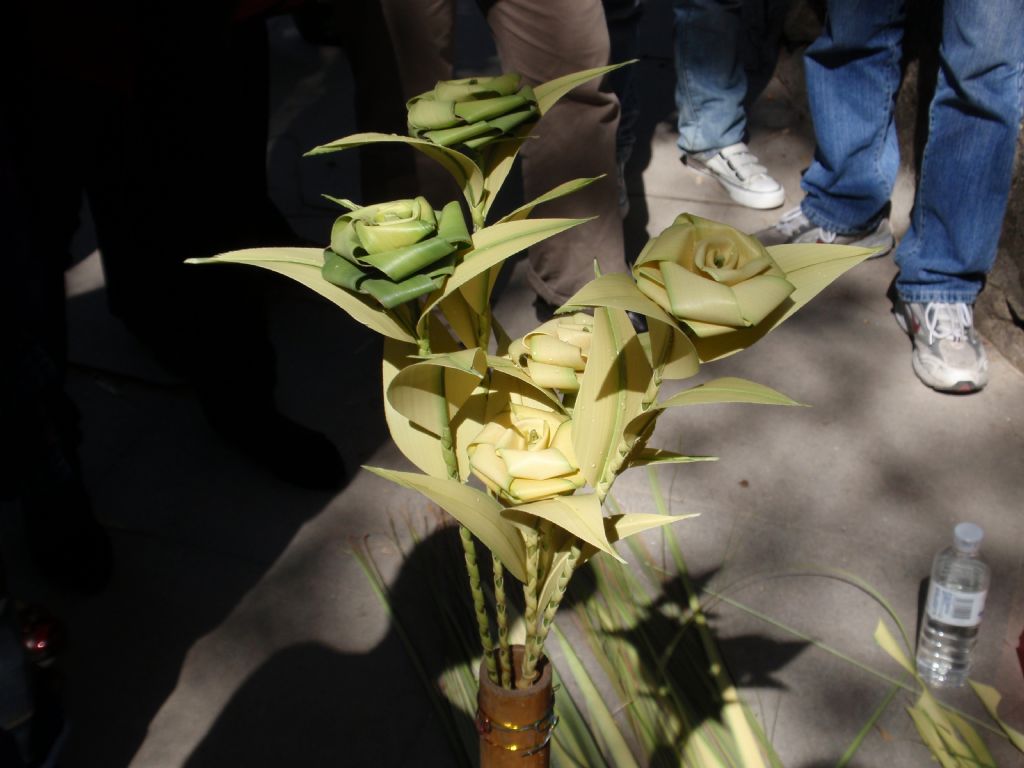 ������������