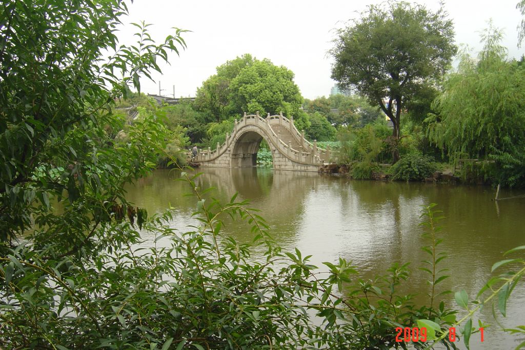 ������Ƭ