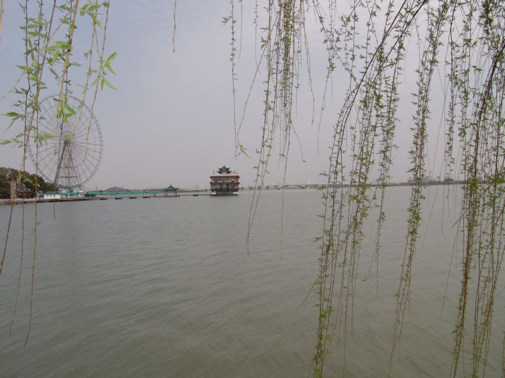 ������Ƭ