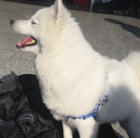 �������������档