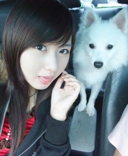 �������������档