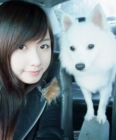 ���������档