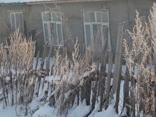 ����������ѩ����