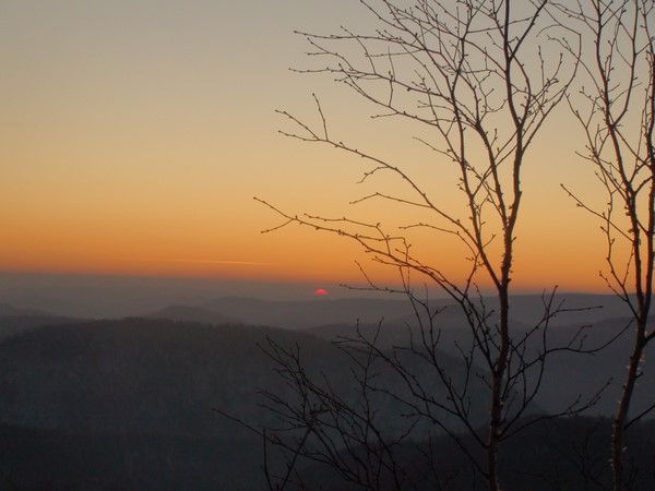 ����������ѩ����