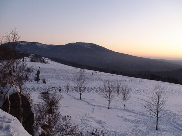 ����������ѩ����