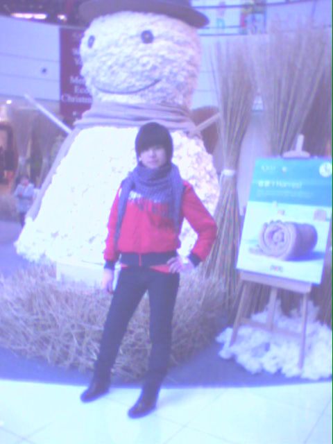 ���������̷�Ѿͷ