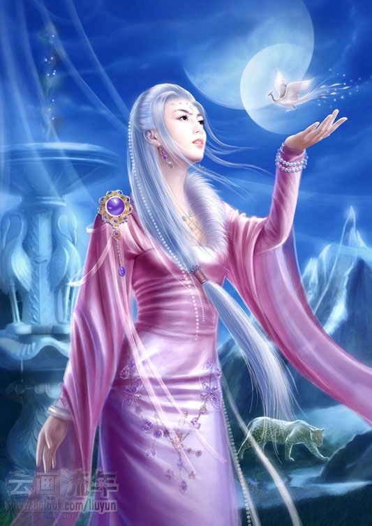 ��������kelly