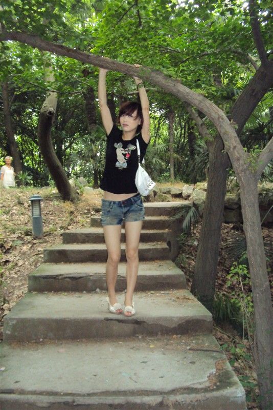 ������Ƭ