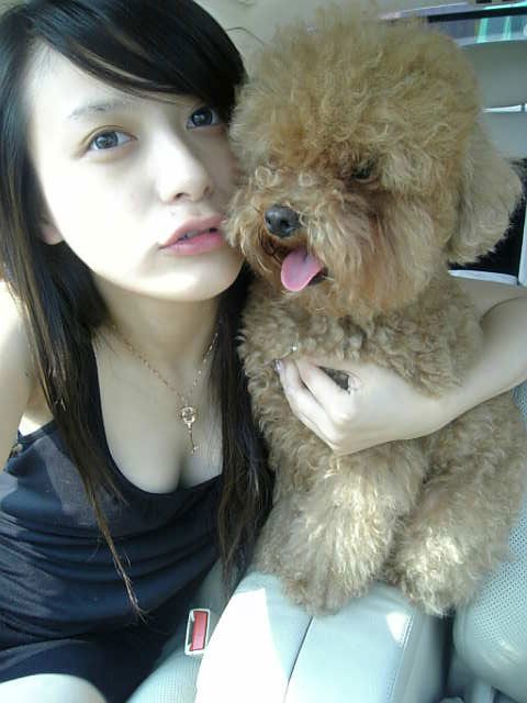 ����susanbaoba