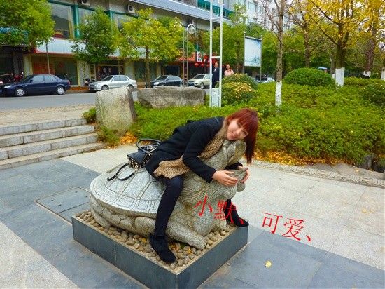 ��������Shirley�rĬ