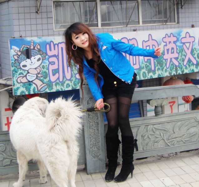 ���������ĳ���