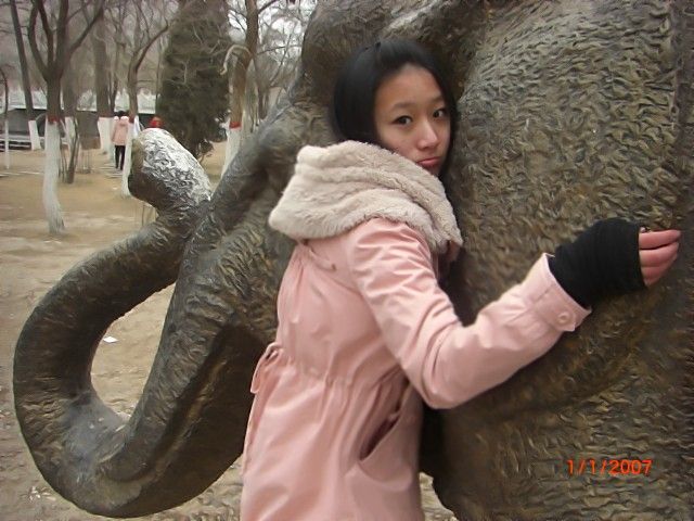 �������������ĭ��