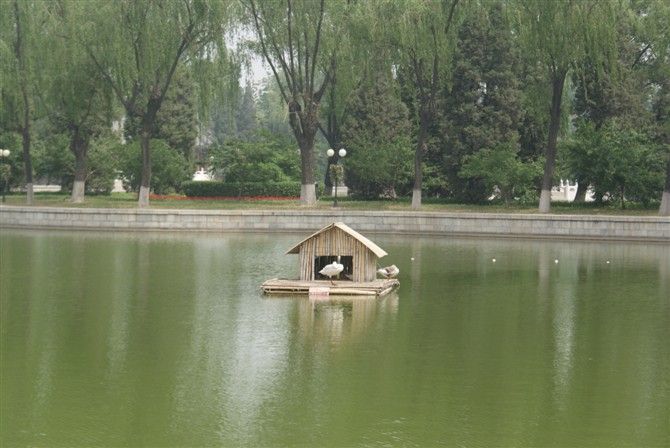 ������������