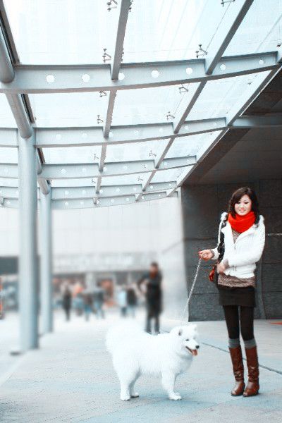 Ƭ