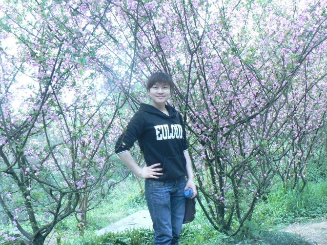 ����������Ҫ������