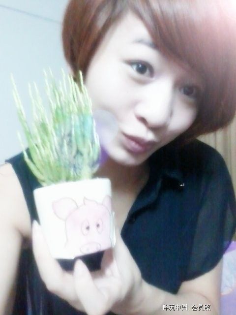 Ȫݰǡؤ