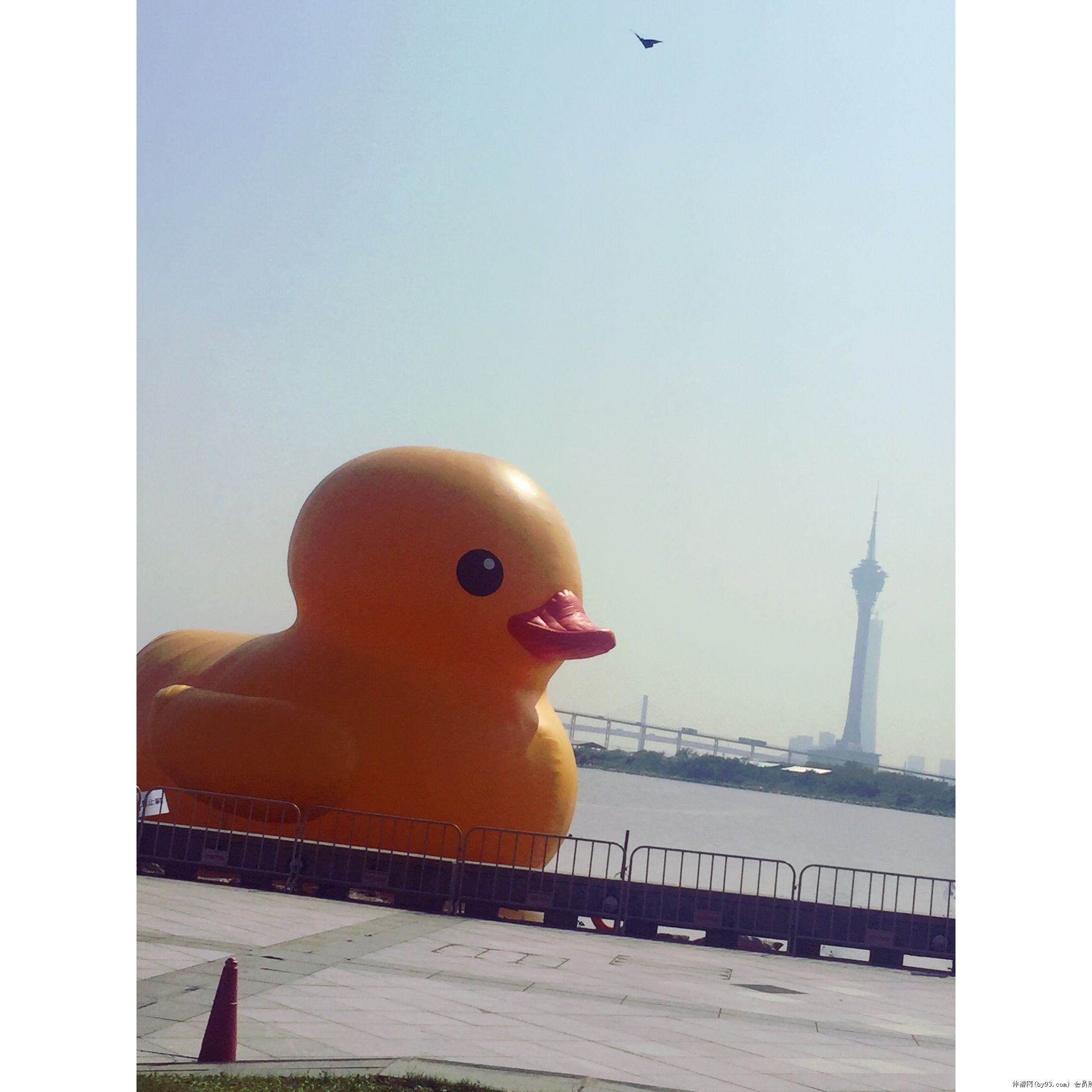 �Ϻ��������Ƚ�