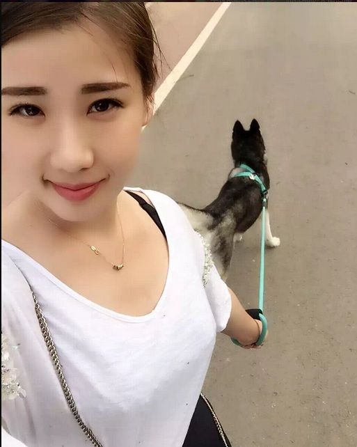 ݰС@ŵ@