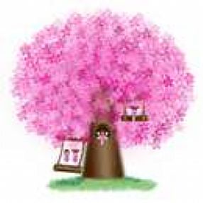 ��������Ʈ��