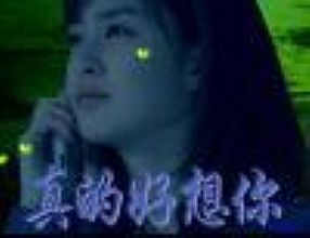 λ