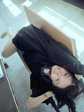 ������֣������2013