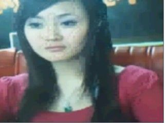 ����/����������··