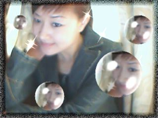 ����/�������������