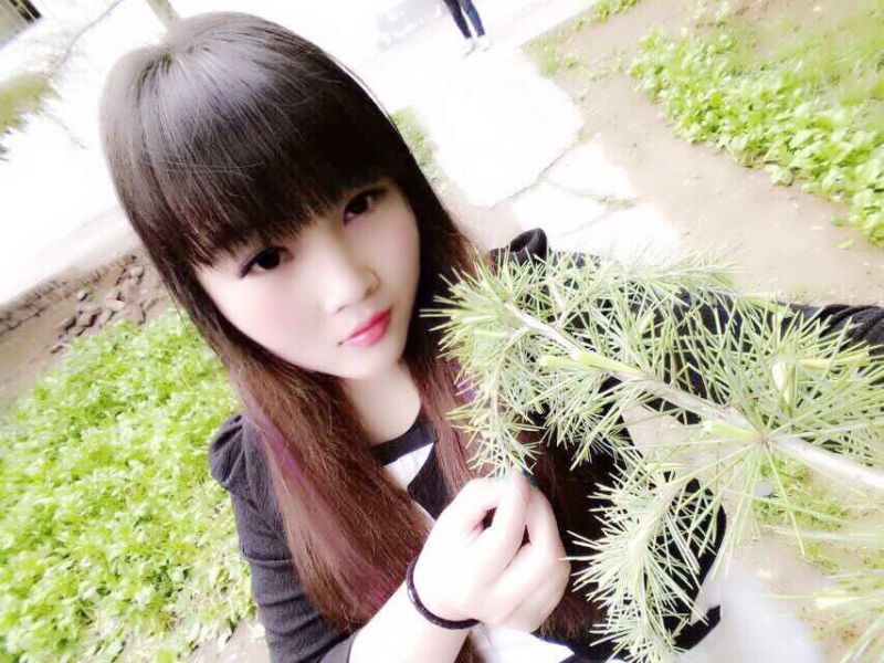 �Ϻ����滶��