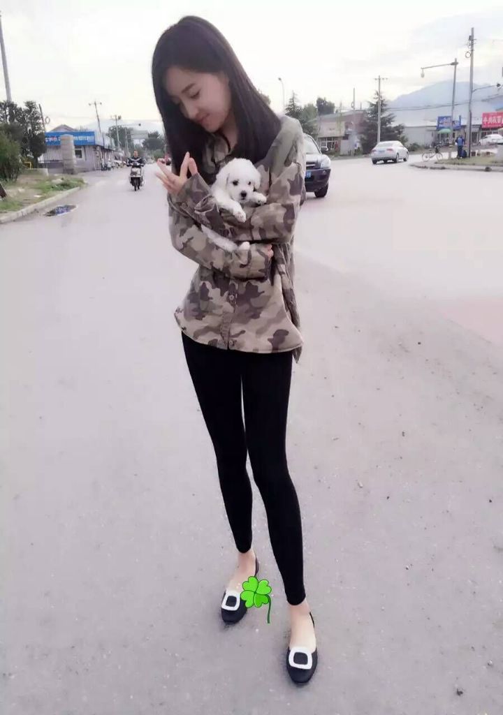 �Ϻ�/�����������Ѫ֮����