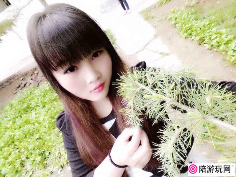 �Ϻ����滶��